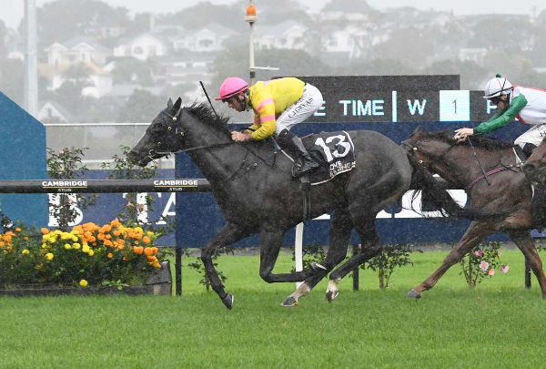 Russian Satire sprints clear of stablemate Ethereal Star to score in the Rating 75 1500m event at Ellerslie.   Photo: Kenton Wright (Race Images)