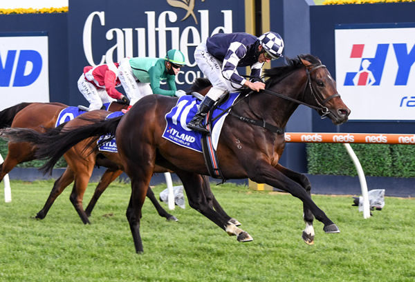 Russian Camelot wins the G1 Underwood Stakes - image Racing Photos