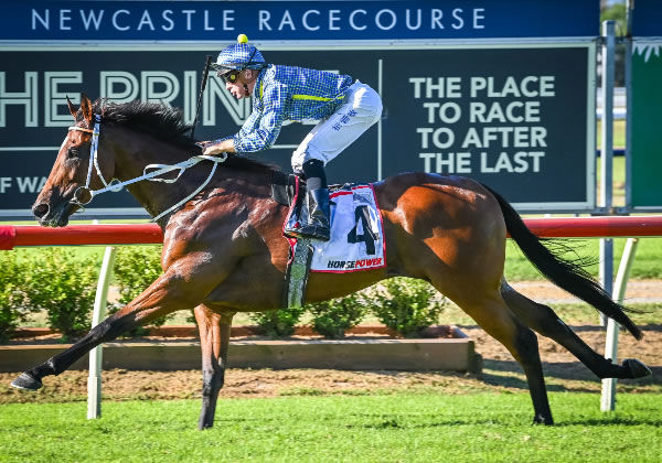 Rustic Steel goes post to post winning the G3 Newcastle Stakes - image Newcastle Racecourse Twitter