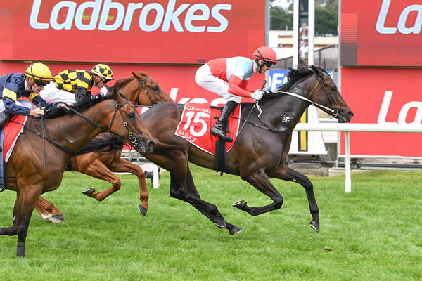 First Black Type Victory For The Promising Sabaj - Image Brett Holburt/Racing Photos
