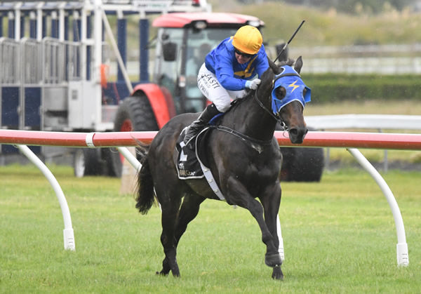 Sagunto puts on a front-running masterclass to claim back-to-back Gr.3 Humphries Construction Manawatu Cup (2300m) crowns with Lisa Allpress. Photo: Peter Rubery (Race Images Palmerston North)