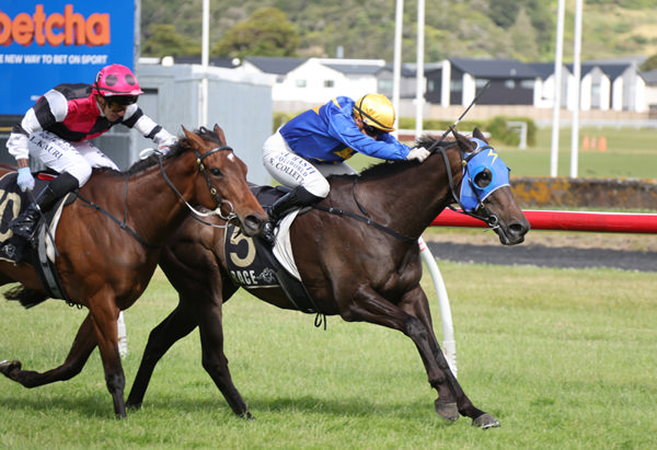 Sagunto winning the Gr.3 Humphries Construction Manawatu Cup (2300m) at Trentham on Saturday.  Photo: Peter Rubery (Race Images)