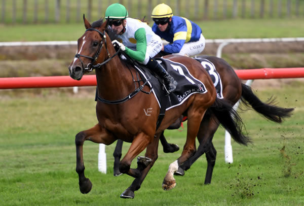 Promising three-year-old Saint Bathans Photo: Kenton Wright (Race Images)