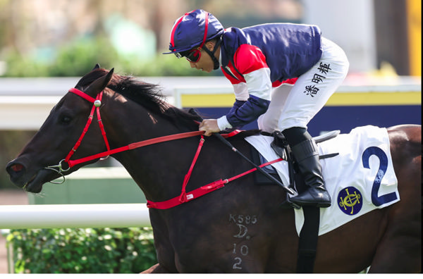 Salon S is now a two time winner in Hong Kong - image HKJC