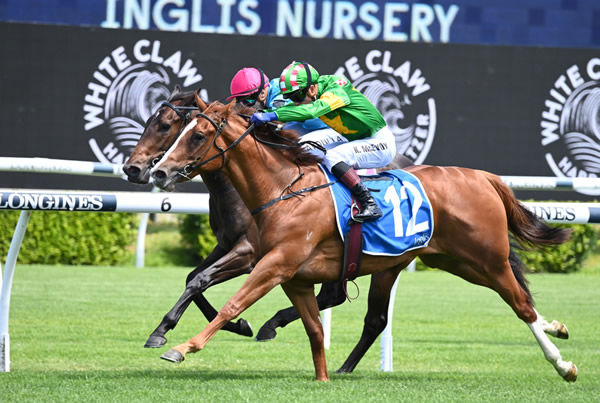 Saltaire edges out Facile to win the Inglis Nursery - image Steve Hart