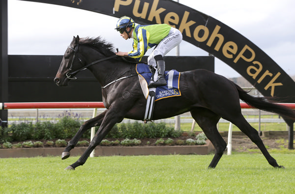 Saltcoats winning the Listed Auckland Futurity Stakes (1400m) at Pukekohe last month. Photo: Trish Dunell