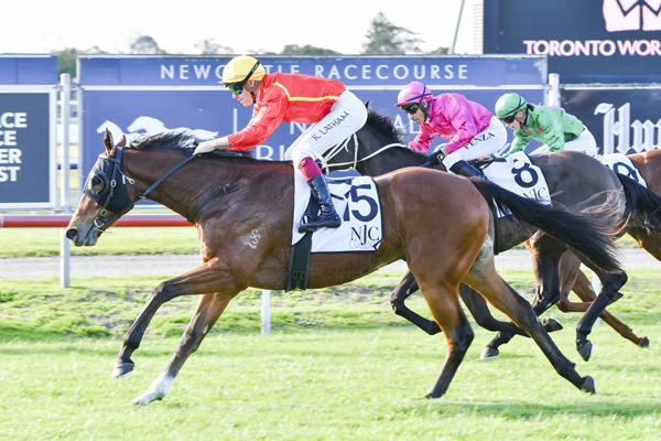 San Giovanni won on debut at Newcastle - image Bradley Photography