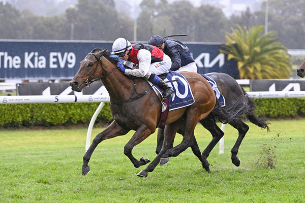 Sanctified wins the $100,000 bonus at Canterbury - image Bradley Photography