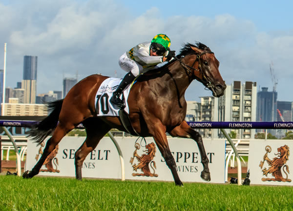 Sangria wins her first stakes race at flemington - image Grant Courtney
