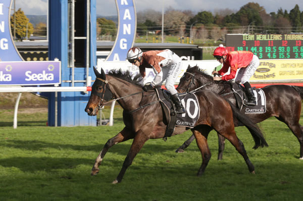 Sanibel causes an upset as she takes out the Listed Team Wealleans Tauranga Classic (1400m) Photo credit: Trish Dunell