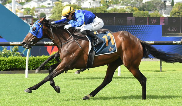 Queensland hoop Angela Jones winning aboard Santa Catalina in the Gr.3 Queen Elizabeth II Cup (2400m) at Ellerslie on New Year's Day. Photo: Kenton Wright (Race Images)