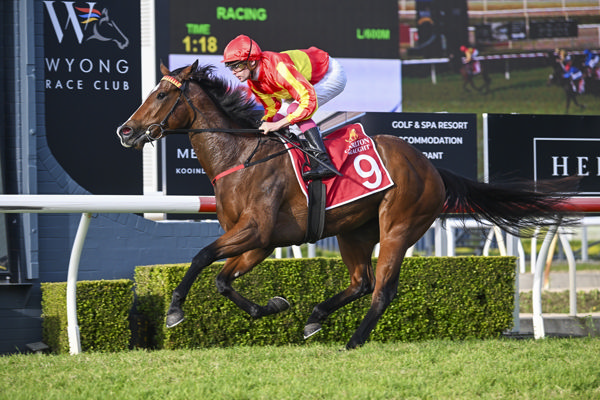 Sapling breaks the maiden in style - image Bradley Photography