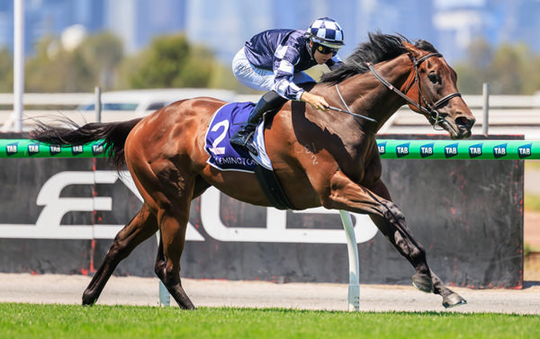 Sass Appeal scores a dominant win in the Listed Desirable Stakes - image Grant Courtney