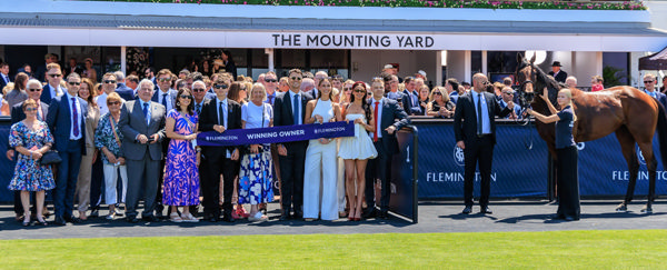 Sass Appeal has an army of owners! - image Grant Courtney