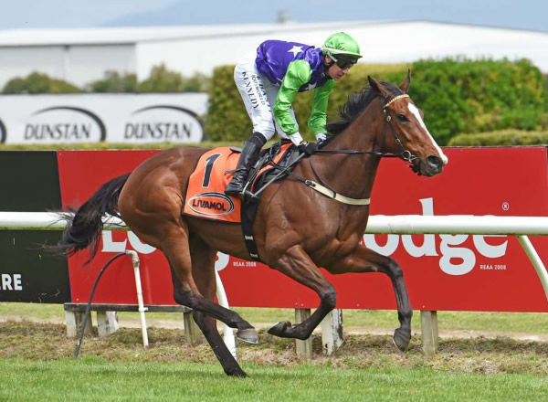 Sassy Lass will contest Saturday's Listed Lincoln Farms Marton Cup (2200m) at Trentham.   Photo: Kenton Wright (Race Images)