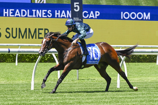 Written Tycoon filly Satin Summer won on debut at Randwick last Saturday - Bradley Photos