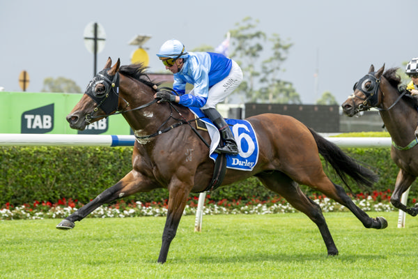 Satirically opened his account at Warwick Farm - image Bradley Photos