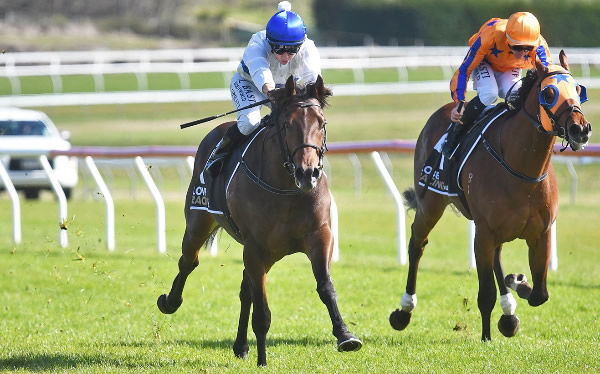 Savaglee powering away with the Poverty Bay Turf Club 3YO Colts/Geldings (1100m) at Taupo on Wednesday.  Photo: Kenton Wright (Race Images)