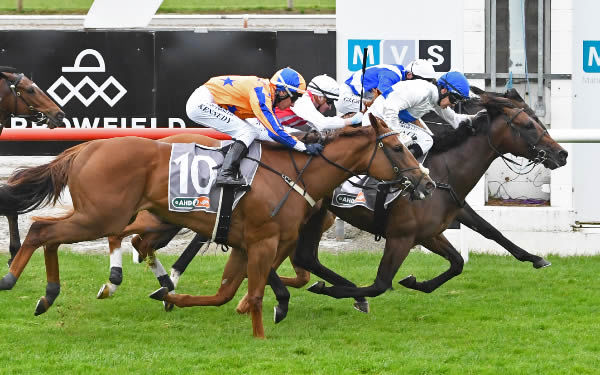 Savaglee (white silks) narrowly takes out the Gr.2 AHD Animal Health Direct – Hawke’s Bay Guineas (1400m) at Matamata.   Photo: Kenton Wright (Race Images)