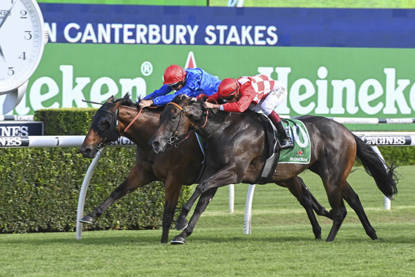Savatiano won the 2021 G1 Canterbury Stakes, but was disqualified due to a positive swab - image Bradley Photography
