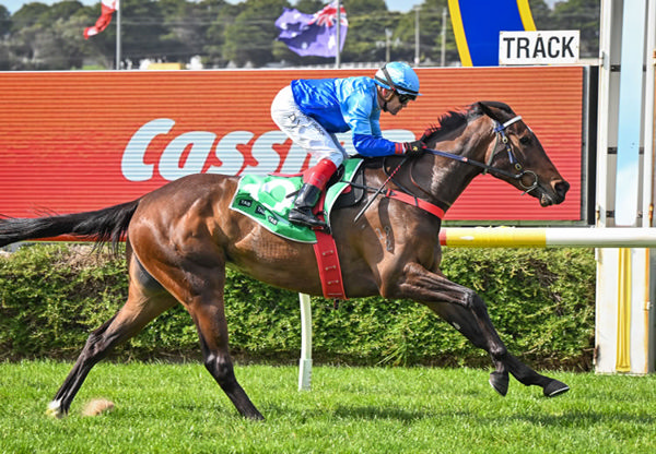 Savitri wins on debut at Warrnambool - image Reg Ryan / Racing Photos 