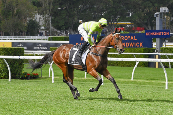 Savvy Hallie lays claim to being Australia's best maiden! - image Bradley Photography