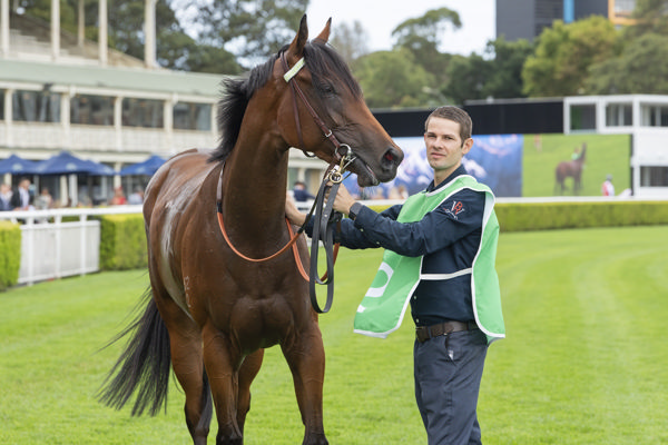Savvy Hallie is a beautiful girl - image Bradley Photos