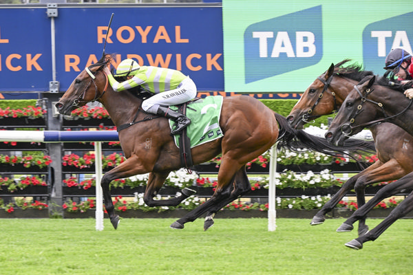 Savvy Hallie wins the G2 Light Fingers - image Bradley Photos