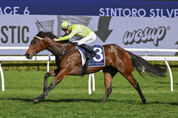 Savvy Hallie wins the G2 Silver Shadow - image Bradley Photography