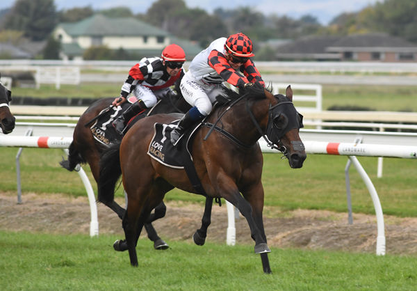Savy Yong Blonk winning the Gr.3 Japac Homes Manawatu Breeders’ Stakes (2000m) at Awapuni on Friday. Photo: Peter Rubery (Race Images Palmerston North)