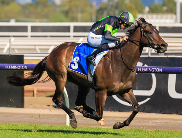 Scallopini wins the Listed Elms Stakes - image Grant Courtney  