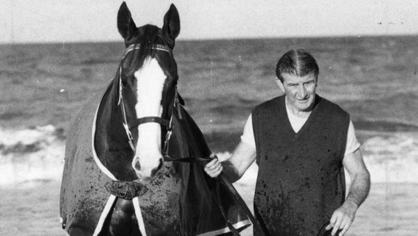 Scamanda won the very first Moir Stakes in 1976.