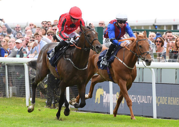 Scarlet Dancer opens winning account at Chester (image Chester Races offphoto) 