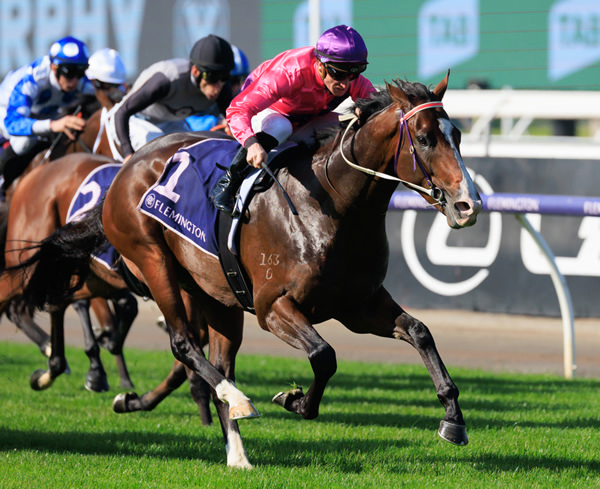 Scheelite makes it two from two at Flemington - image Grant Courtney