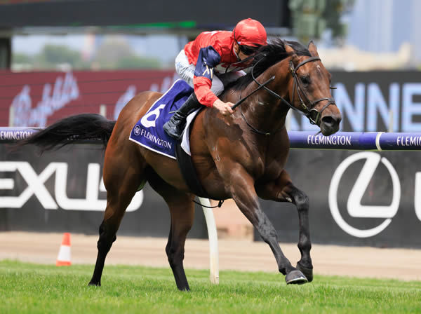 Schwarz wins his first stakes race in style - image Grant Courtney