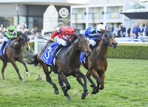 Schwarz wins the G2 Missile Stakes - image Steve Hart