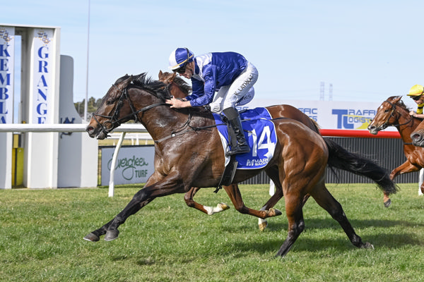 Sea Admiral scores at Kembla at his second start - image Bradley Photography