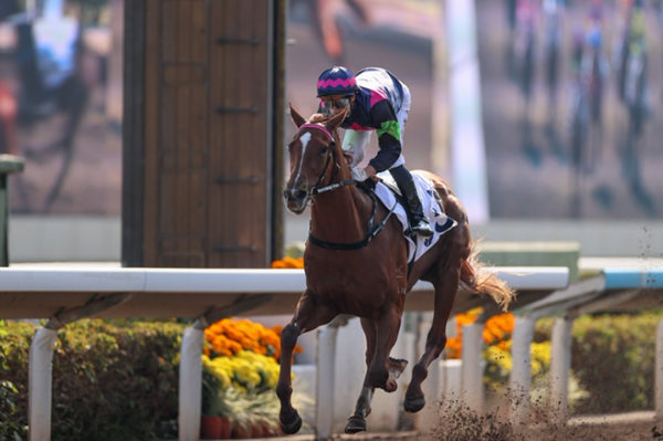 Supreme Sea made a winning debut - image HKJC