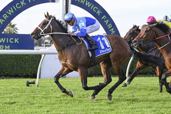 Secure was a $1.4million Inglis Easter yearling purchase - image Bradley Photography