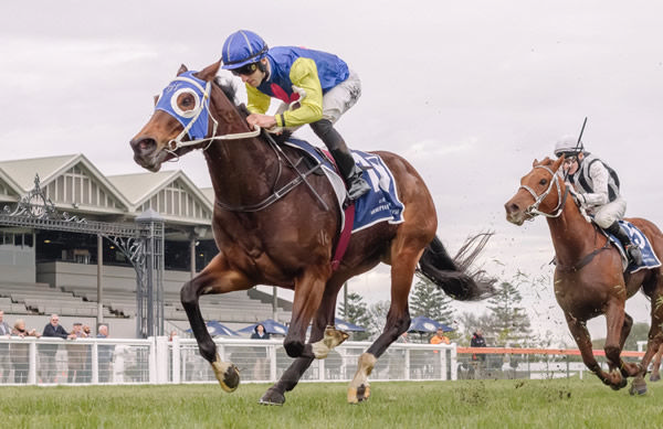 See You In Heaven winning the Gr.3 Behemoth Stakes (1200m) at Morphettville Photo: Atkins Photography 