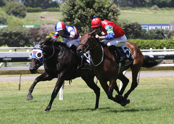 Self Obsession (inner) and Princess Lowry stage a titanic struggle at the finish of the Gr.2 Valachi Downs Royal Stakes (2000m) at Ellerslie Photo Credit: Kirstin Ledington