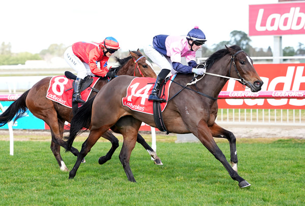 Semelle Rouge wins on debut at Sale - image Scott Barbour / Racing Photos
