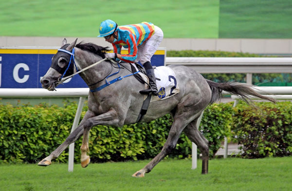 Senor Toba wins G3 Queen Mother Memorial Cup - image HKJC