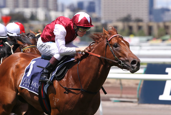 Sepoy won the Blue Diamond and Golden Slipper  - Racing Photos