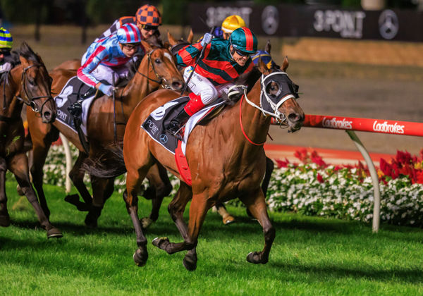 September Run won the Group I William Reid Stakes this year - image Grant Courtney.