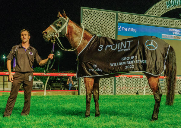 September Run won the Group I MVRC William Reid Stakes at the Valley in March - image Grant Courtney 