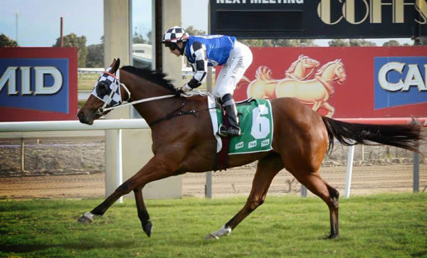 Named Sequana, she has won three races and over $80,000 in prizemoney for Australian Bloodstock.