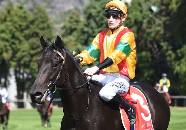 Following his recent sale, exciting juvenile Sergeant Major will have one final run in New Zealand before continuing his racing career in Australia.   Photo: Race Images Palmerston North