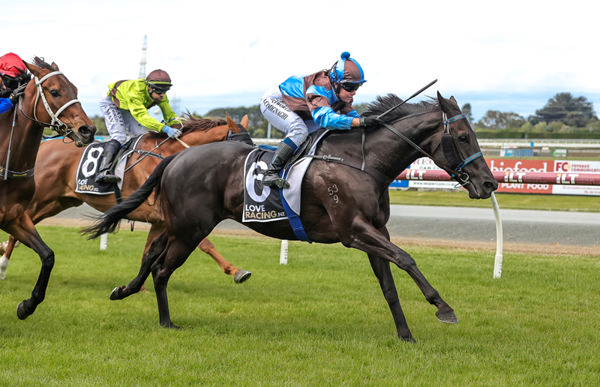Sestina and jockey Tina Comignaghi take out the Gladvale Farms Winton Cup (1400m) at Ascot Park.   Photo: Monica Toretto