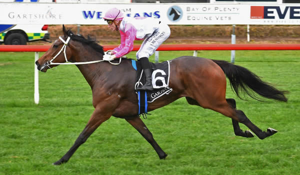 Sexy And I Moet cruises to victory at Tauranga  Photo Credit: Kenton Wright Race Images